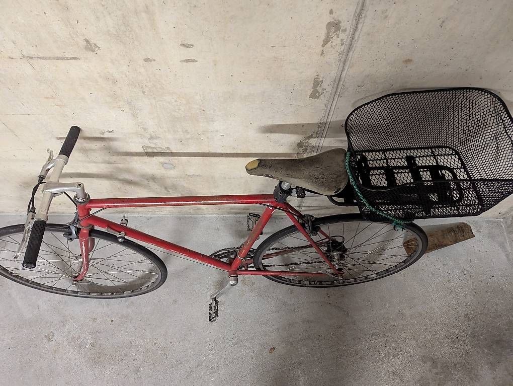 Biciclette: Fahrrad – Usato da Bern venduto da Whatever