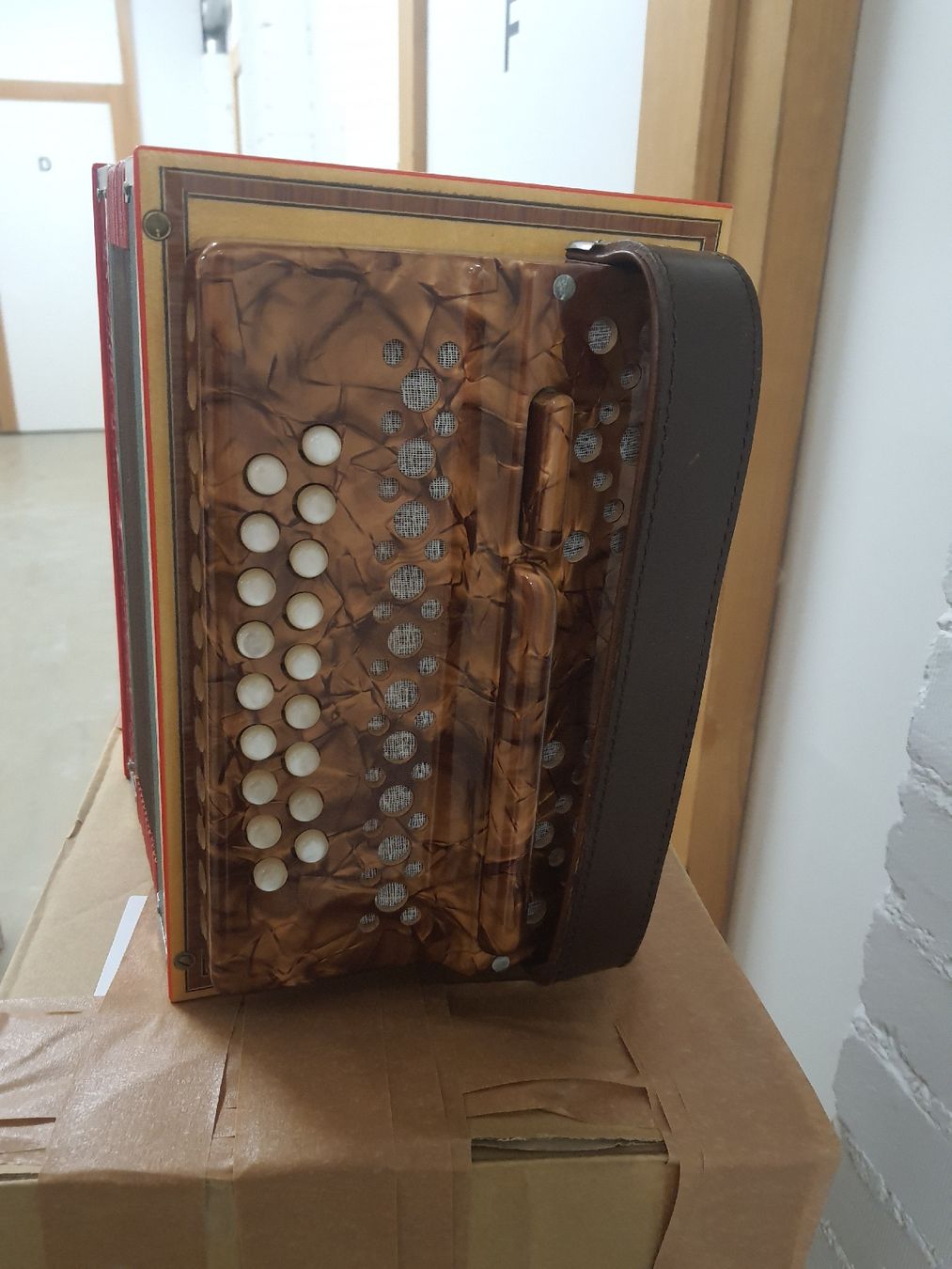 Eichhorn Strumenti musicali: schwyzerorgeli Eichhorn 18 basses... ton B... 3 voix – Usato da Pont-de-la-Morge venduto da Mirabelle0 3