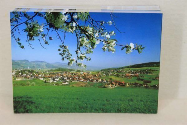 Ansichtskarten: 100 Ansichtskarten – Neu (gemäss Beschreibung) aus Thun von Fbchm