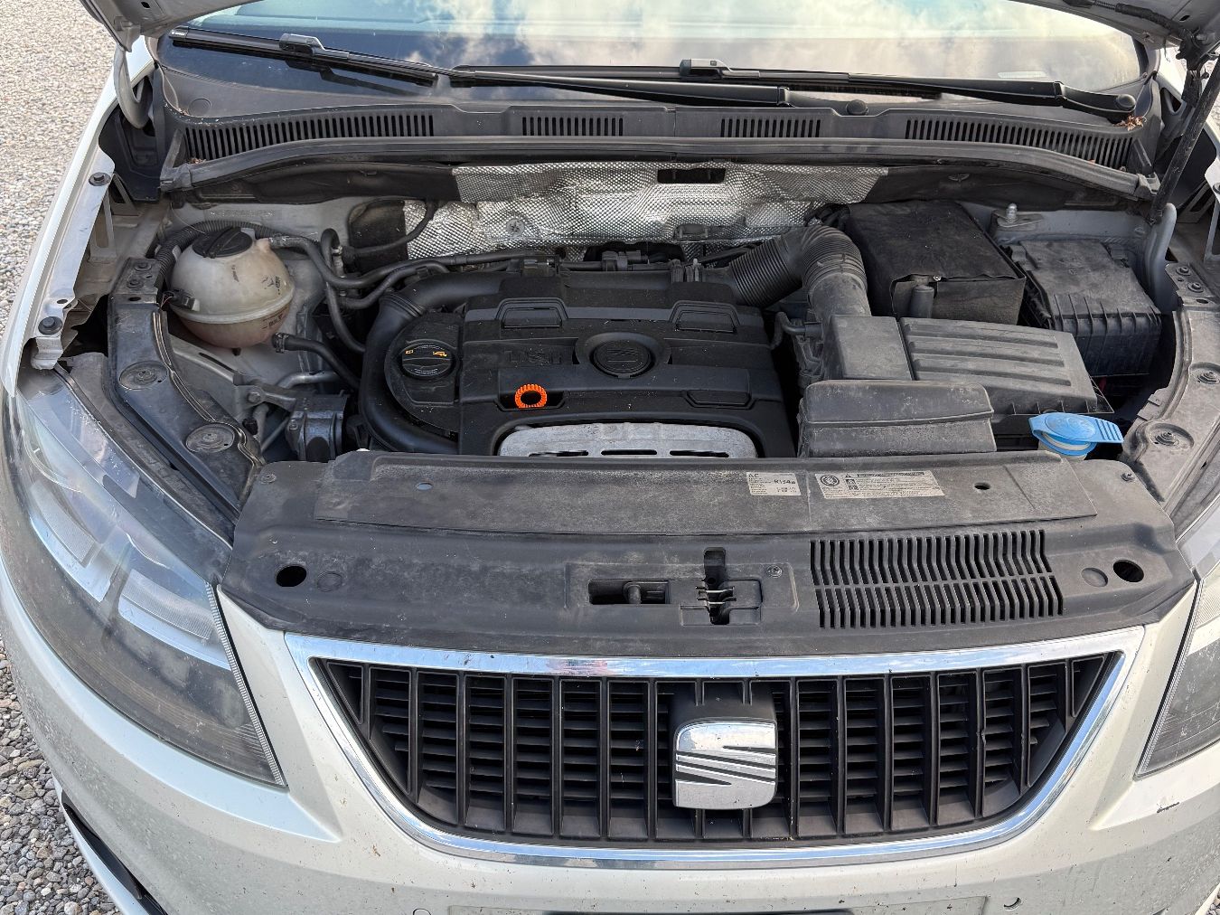 Seat Automobili: Seat Alhambra 1.4 TSI ab 1.- CHF – Usato da Kreuzlingen venduto da Audifreaks 8