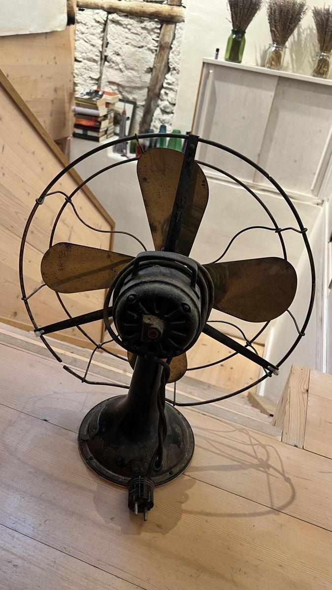 Ventilatori: AEG Ventilator Typ EVI 75 – Usato da Vilters venduto da kid_calypso 3