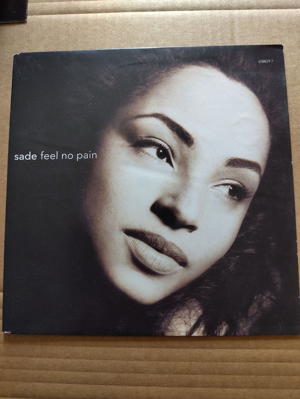 Dischi in vinile: Sade - Feel No Pain 7" Single – Usato da Büsserach venduto da Bey23