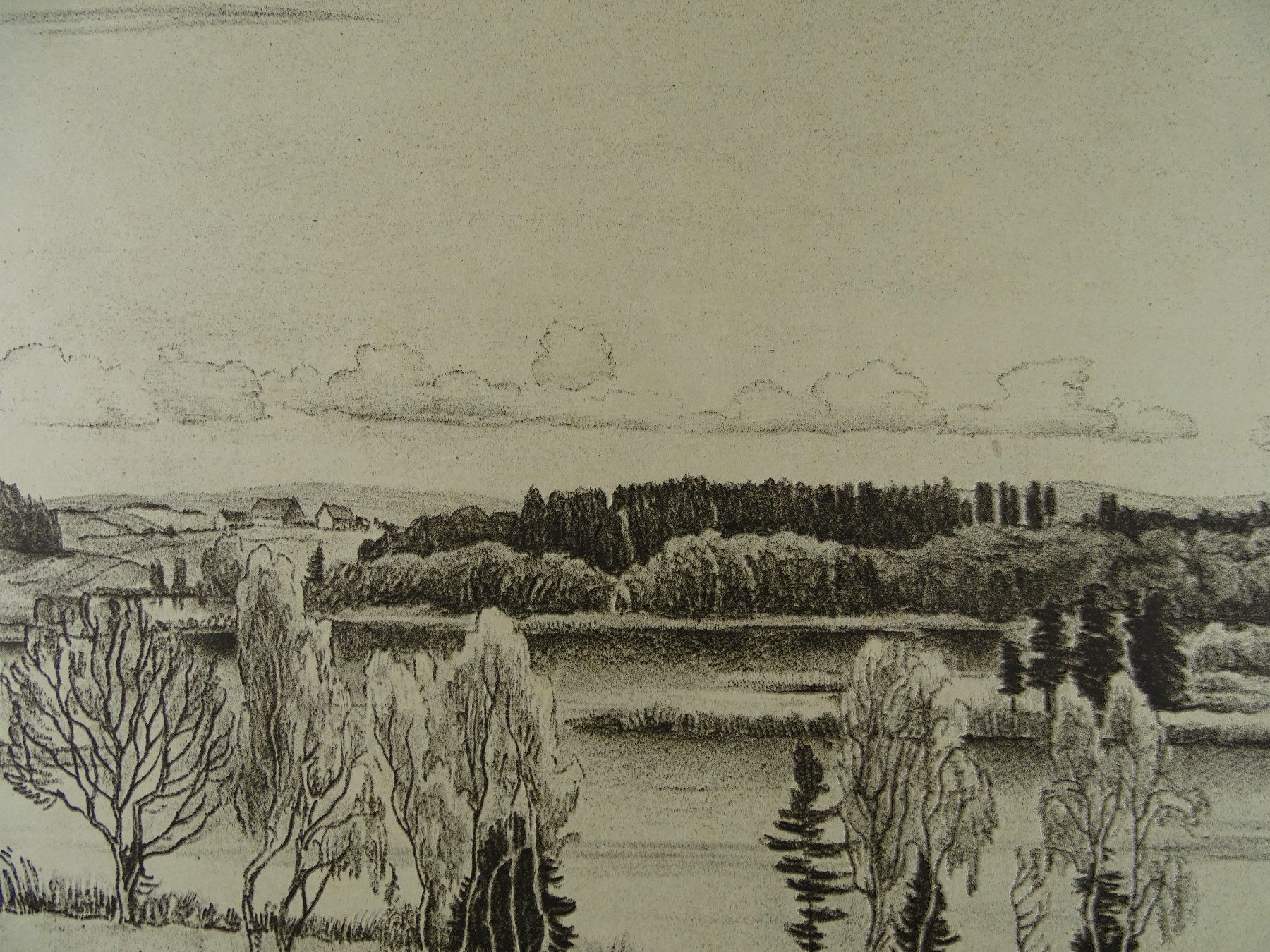 Dipinti: NUSSBAUMERSEE, LITHO VON E.E. SCHLATTER – Usato da Grüningen venduto da Kartensammler 2
