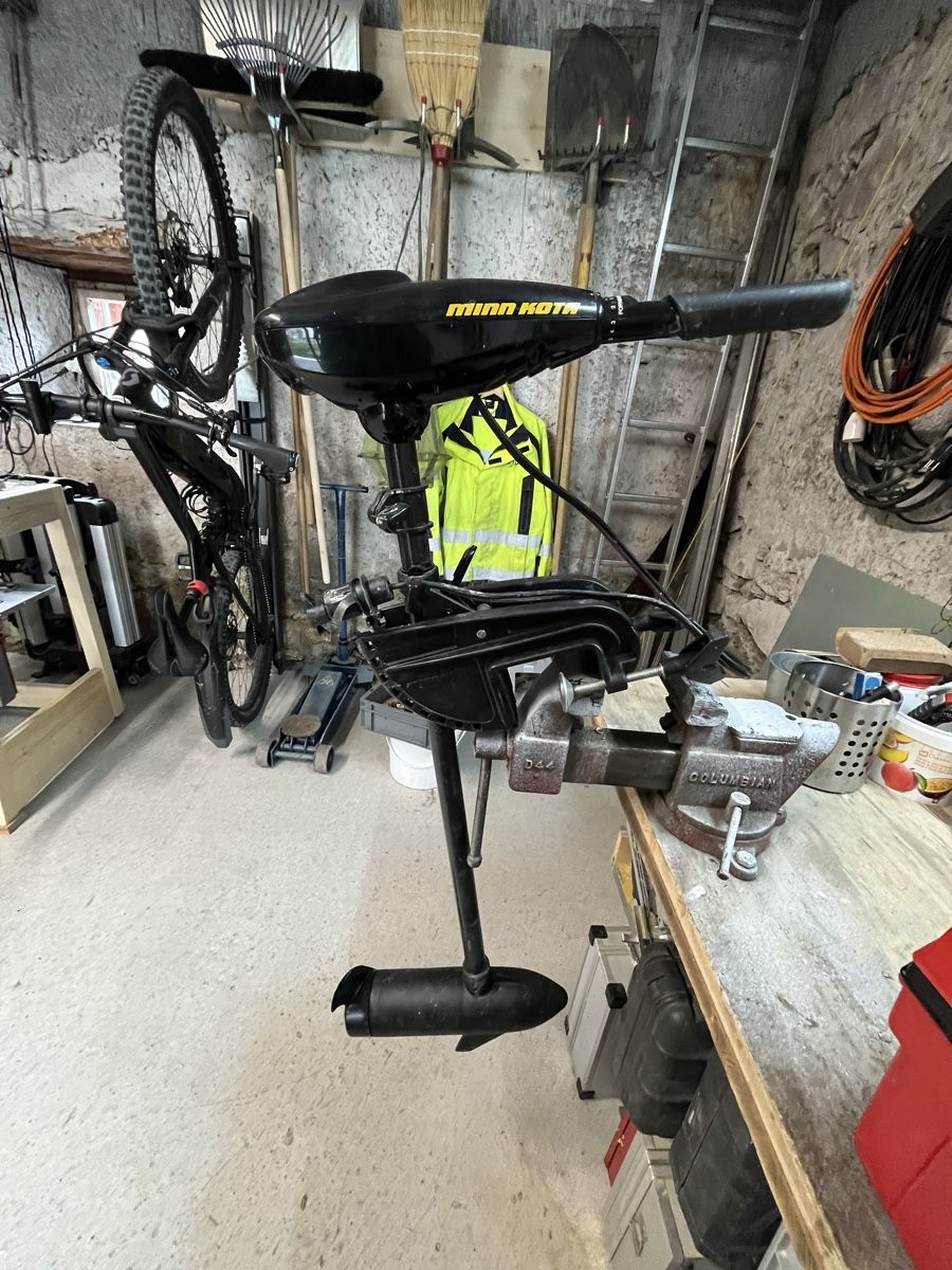Minn Kota Motori: Minn Kota / Endura C2-30 – Usato da Riedern venduto da Misee