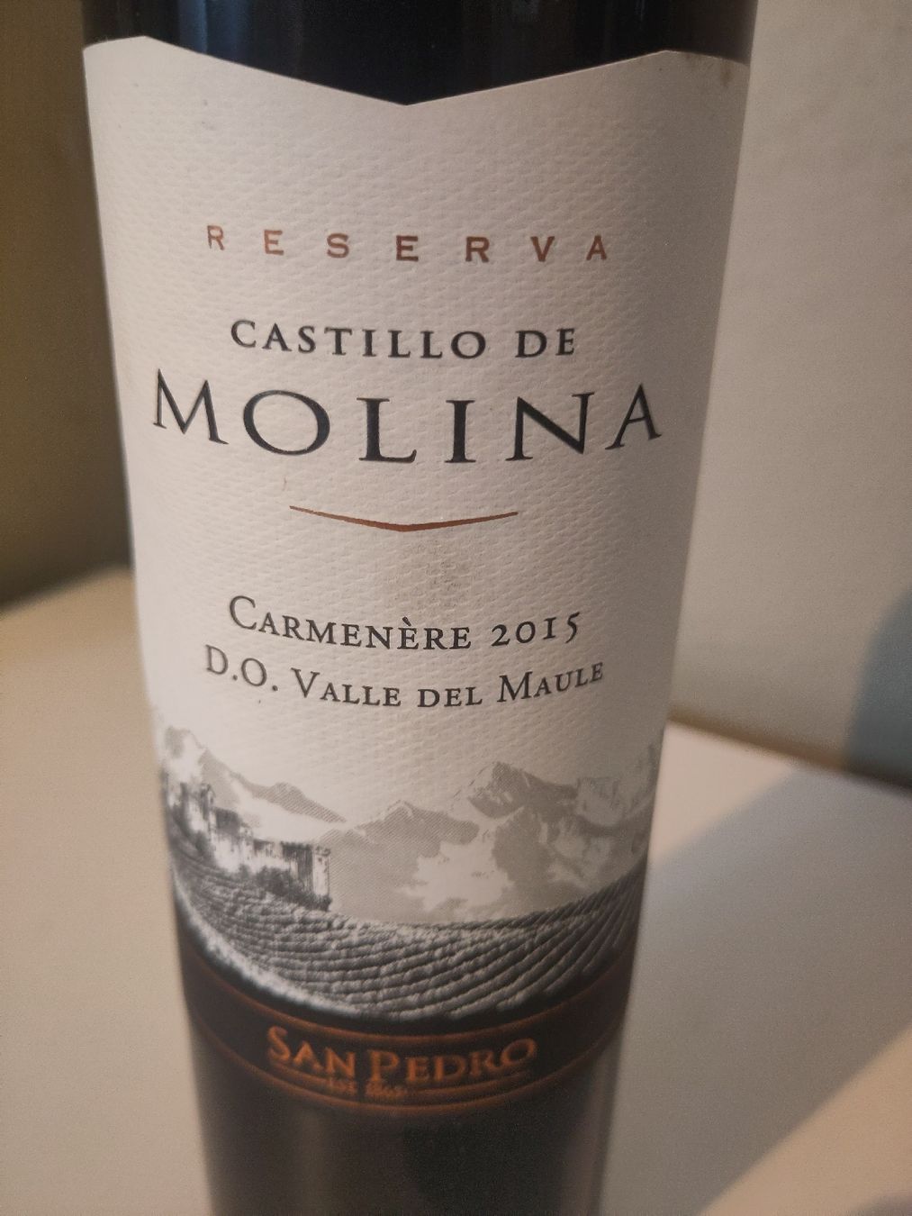 Vino: 6 FL. Castillo de Molina "Carmenère" 2015 – Nuovo (secondo la descrizione) da Basel venduto da Morgenmuffel 2