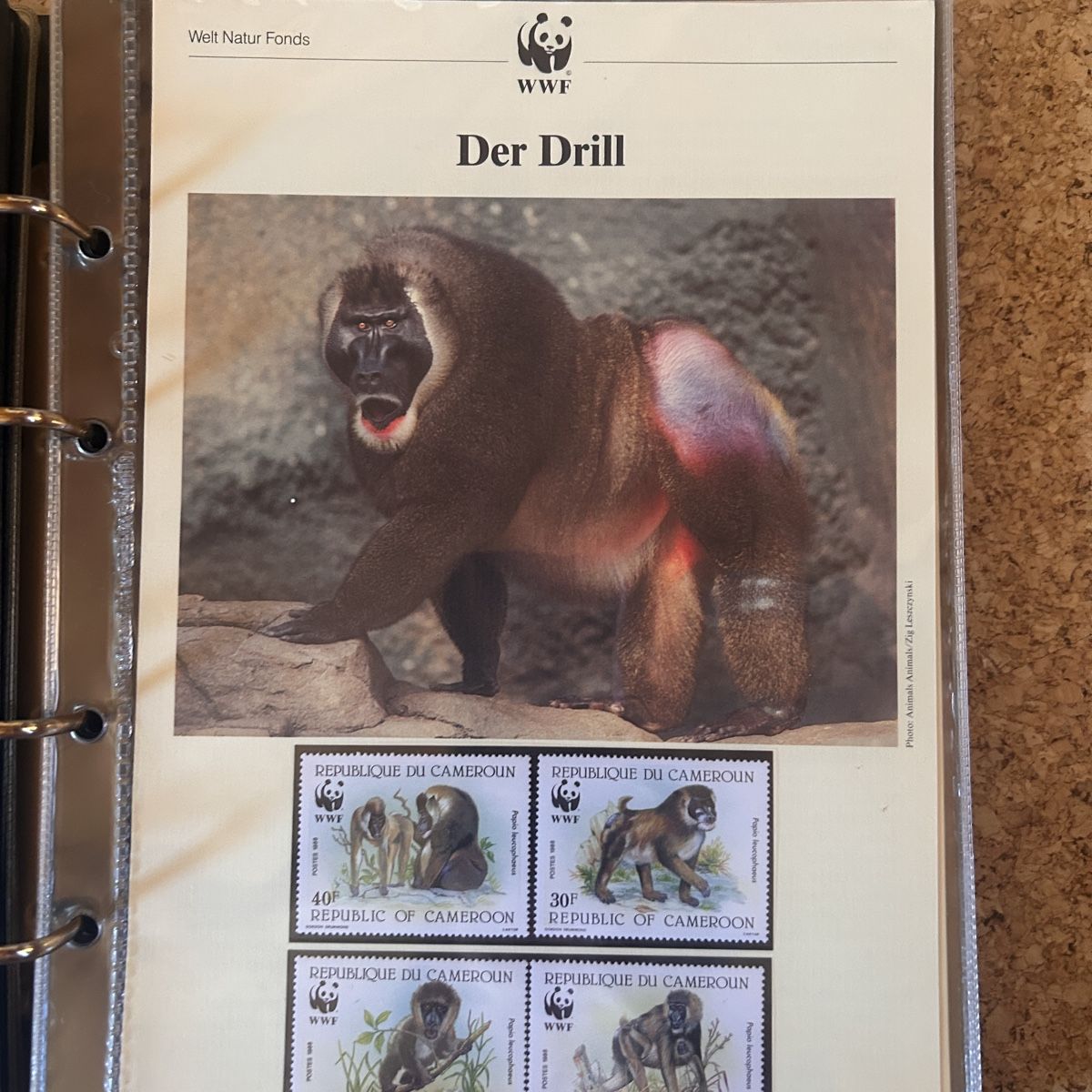 WWF Album: WWF Briefmarkenalbum – Usato da Laufen venduto da belleskulptur 7
