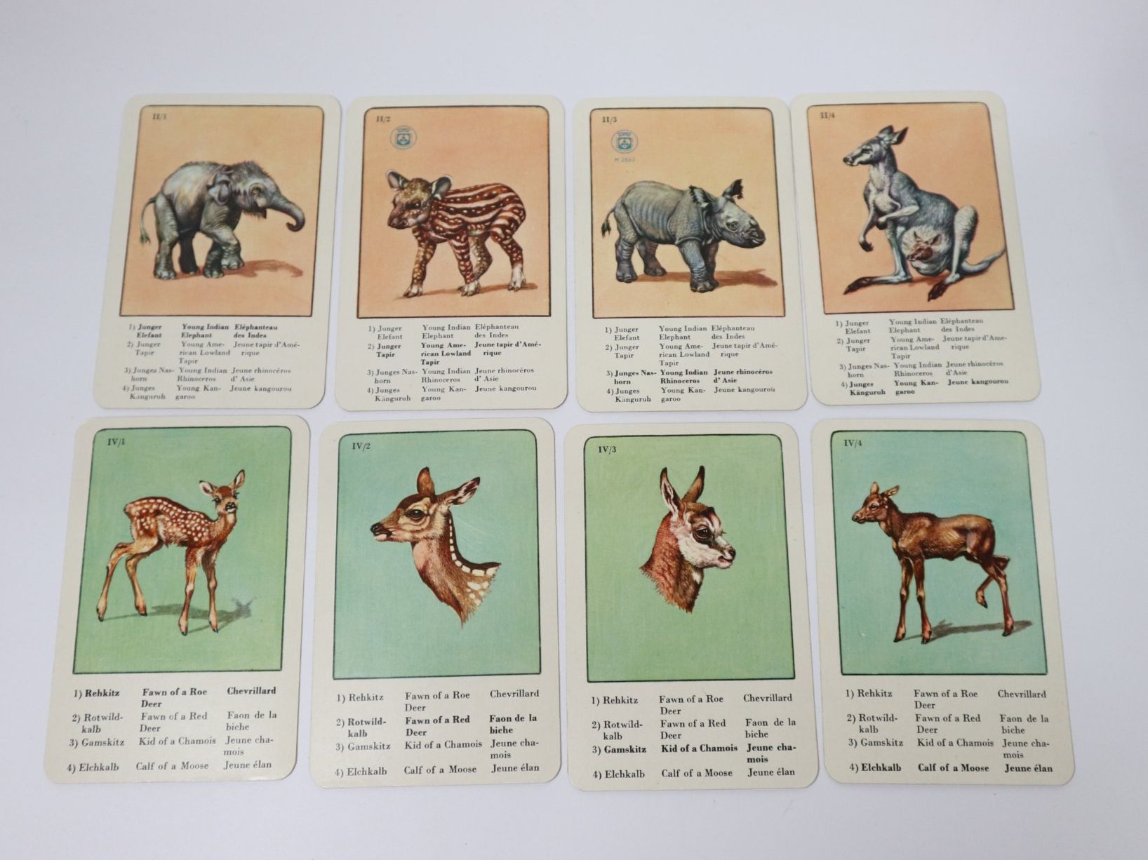 Spiele: Vintage Quartett Tierkinder – Gebraucht aus Eschenbach SG von Astalavista 1