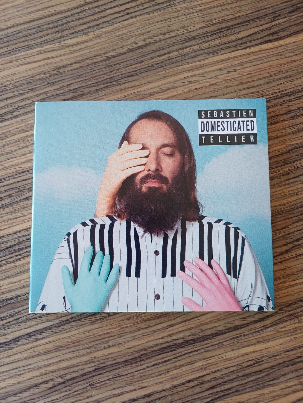 CD: Sebastien Tellier "Domesticated" CD – Usato da Begnins venduto da Drastic-Sound