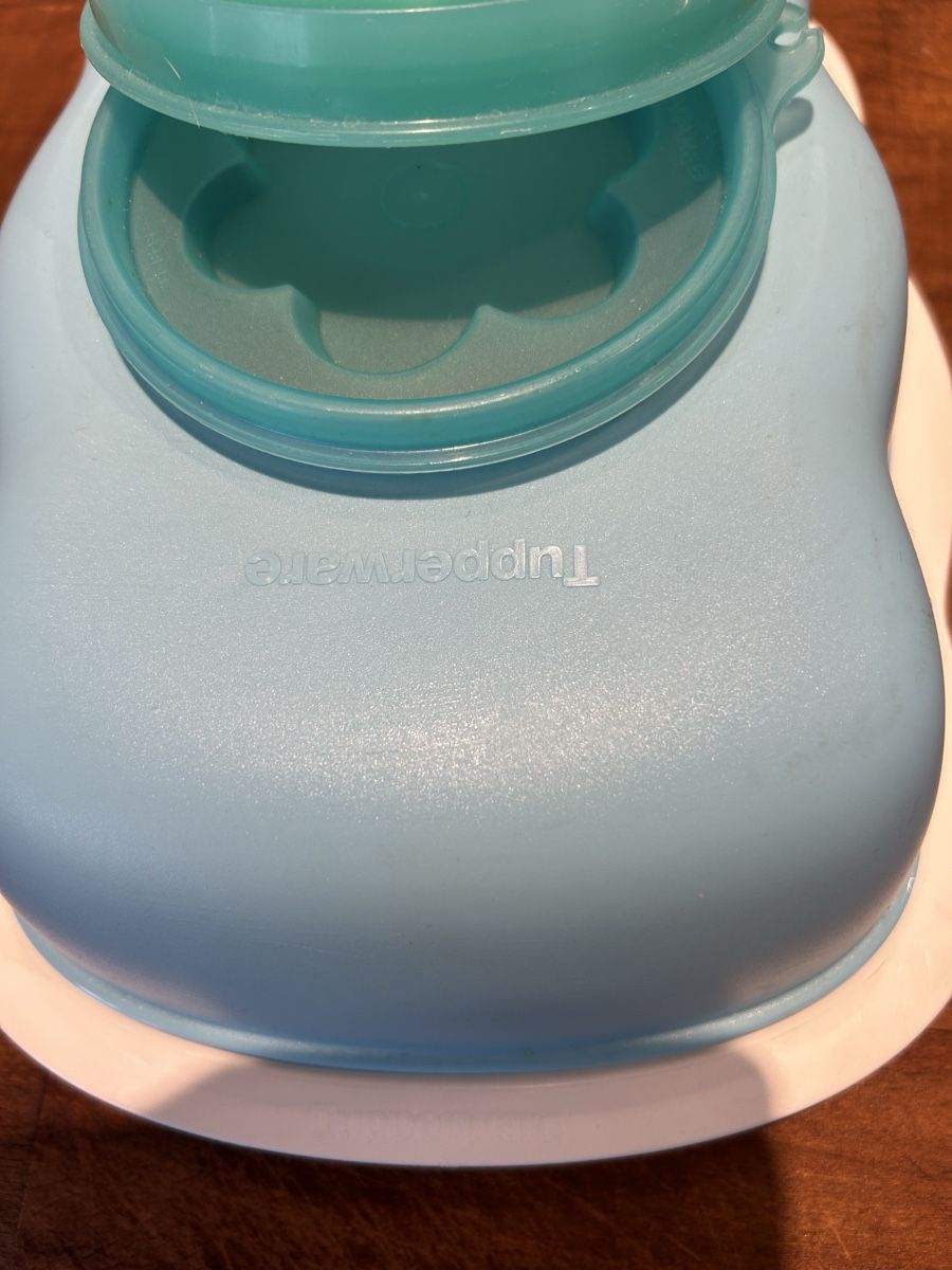 Tupperware Teglie da forno: Puddingform/Glaceform Tupperware – Usato da Merenschwand venduto da Jacqueline99 3
