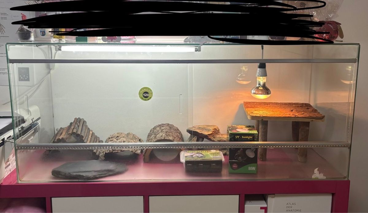 Terrario: Schildkröten-Terrarium Komplett-Set – Usato da Frenkendorf venduto da tryskac