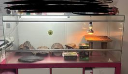Schildkröten-Terrarium Komplett-Set