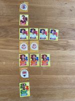 Panini WM 2026 13 Sticker VIELE DOPPELTE