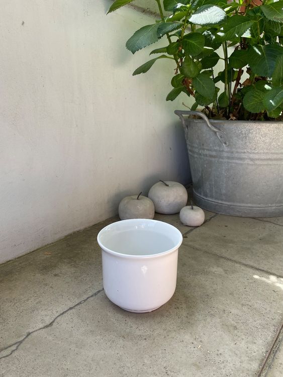Househive Blumentopf Kastanienbraun Mit Gewelltem Rand – 12x12x11,5 Cm, Für Zimmerpflanzen & Sukkulenten