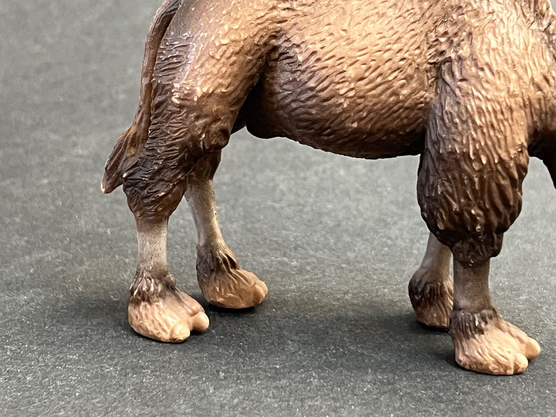Schleich Statuette: Schleich Trampeltier Kamel Fohlen – Usato da Ennetbaden venduto da mapa05 4