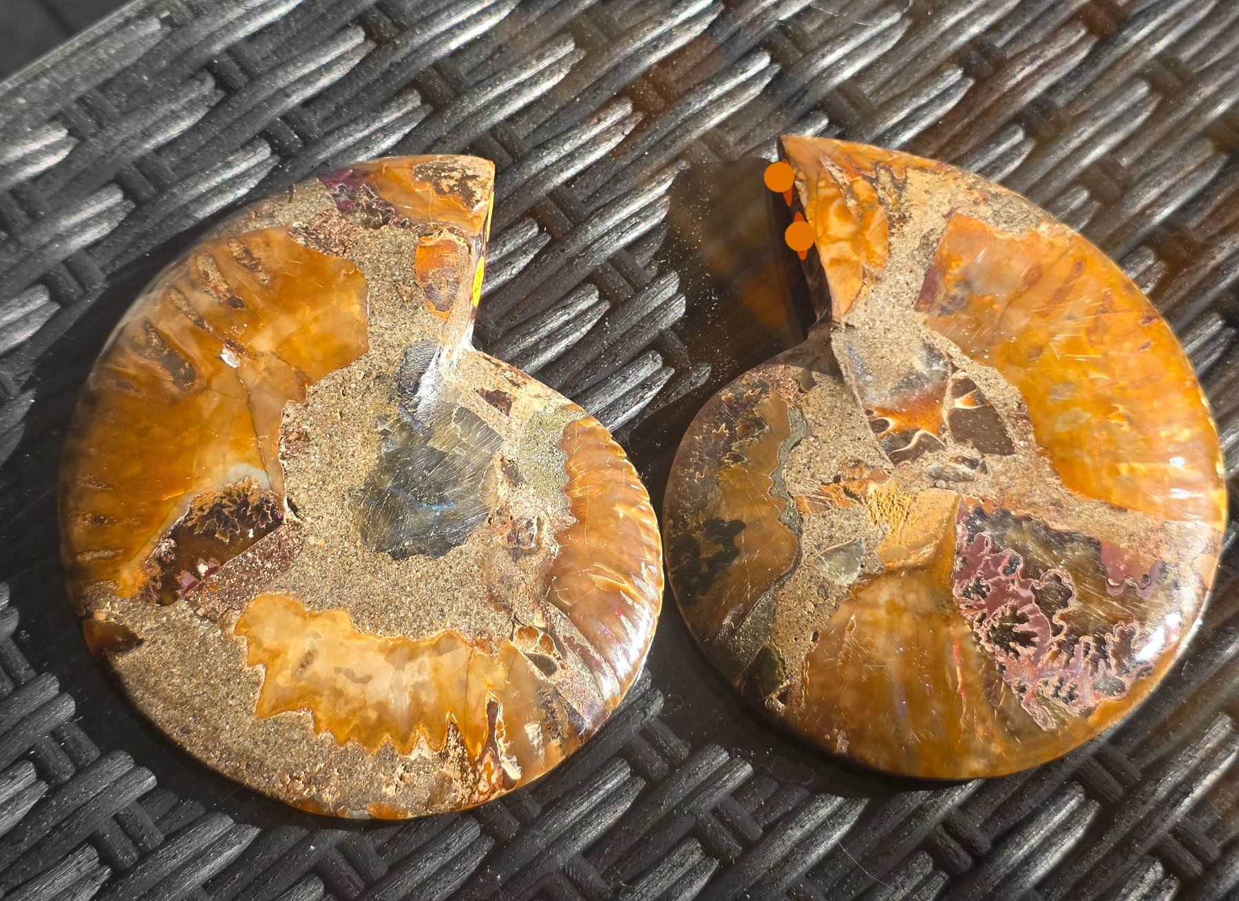 Fossili: Ammoniten Paar P1 302g – Nuovo e nell'imballaggio originale da Matzingen venduto da Shay_Crystalz 1