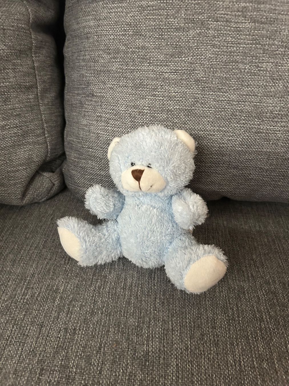 Spielzeuge: Teddy Bär Kuscheltier blau – Neu und originalverpackt aus Wabern von belka72