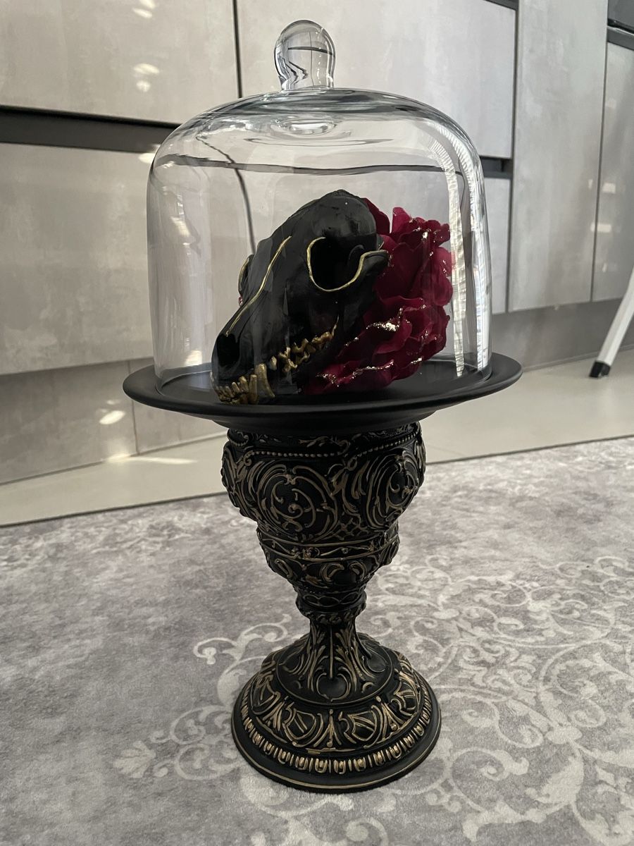 Altre raccolte & rarità: Barock Deco Echter Fuchsschädel – Nuovo e nell'imballaggio originale da Aeschi SO venduto da Uccio.lombe 4