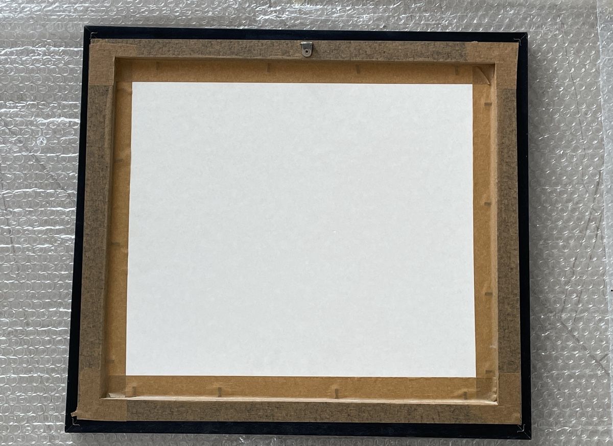 Foto & Immagini: Schönes Bild von Picasso (klein) – Usato da Glattpark(Opfikon) venduto da cla_hpt7 1
