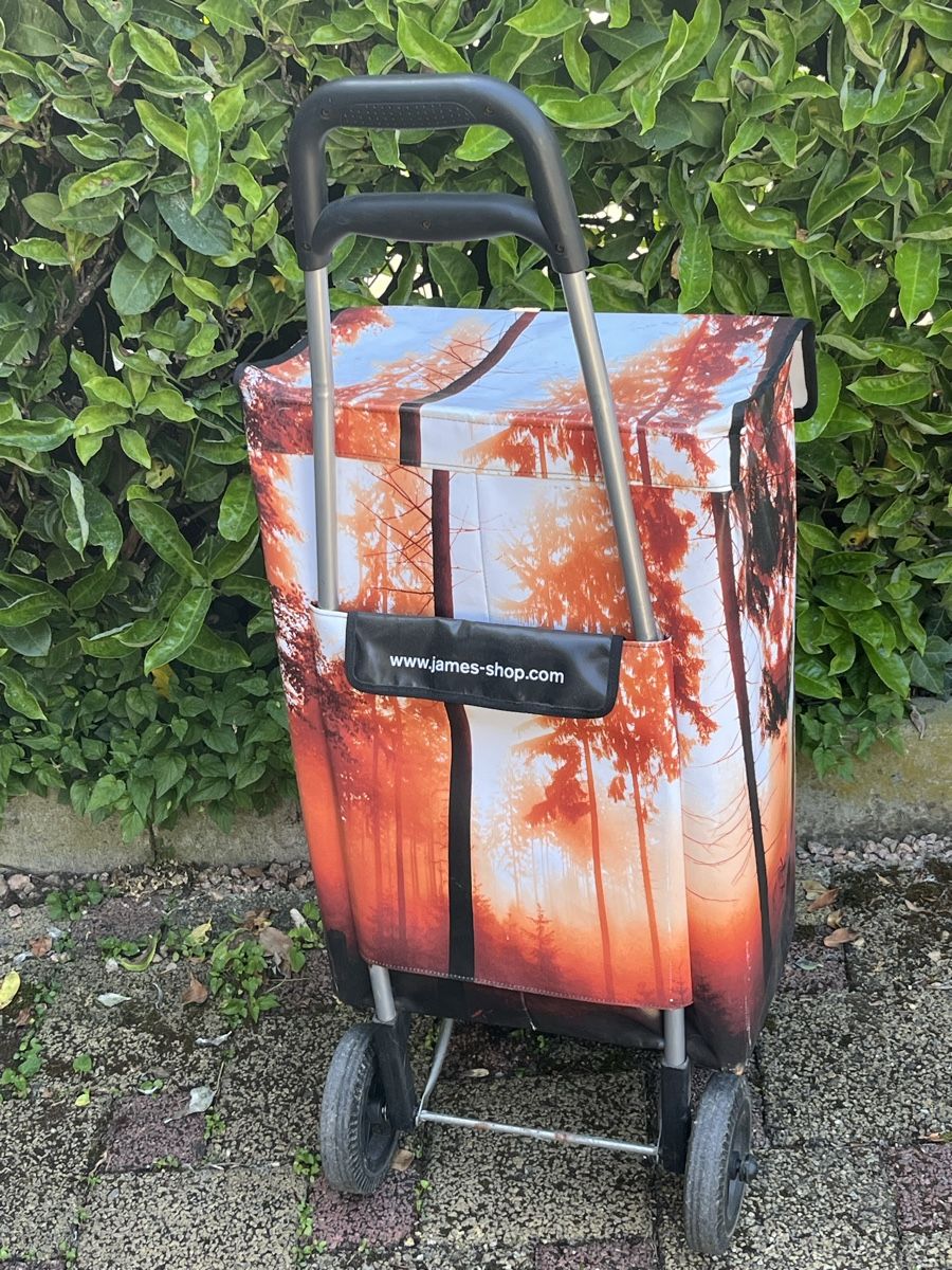 Altro per la casa: Einkaufswagen James Einkauf Trolley Einkaustrolley Einhorn – Usato da Ittenthal venduto da kitty-w1971 2