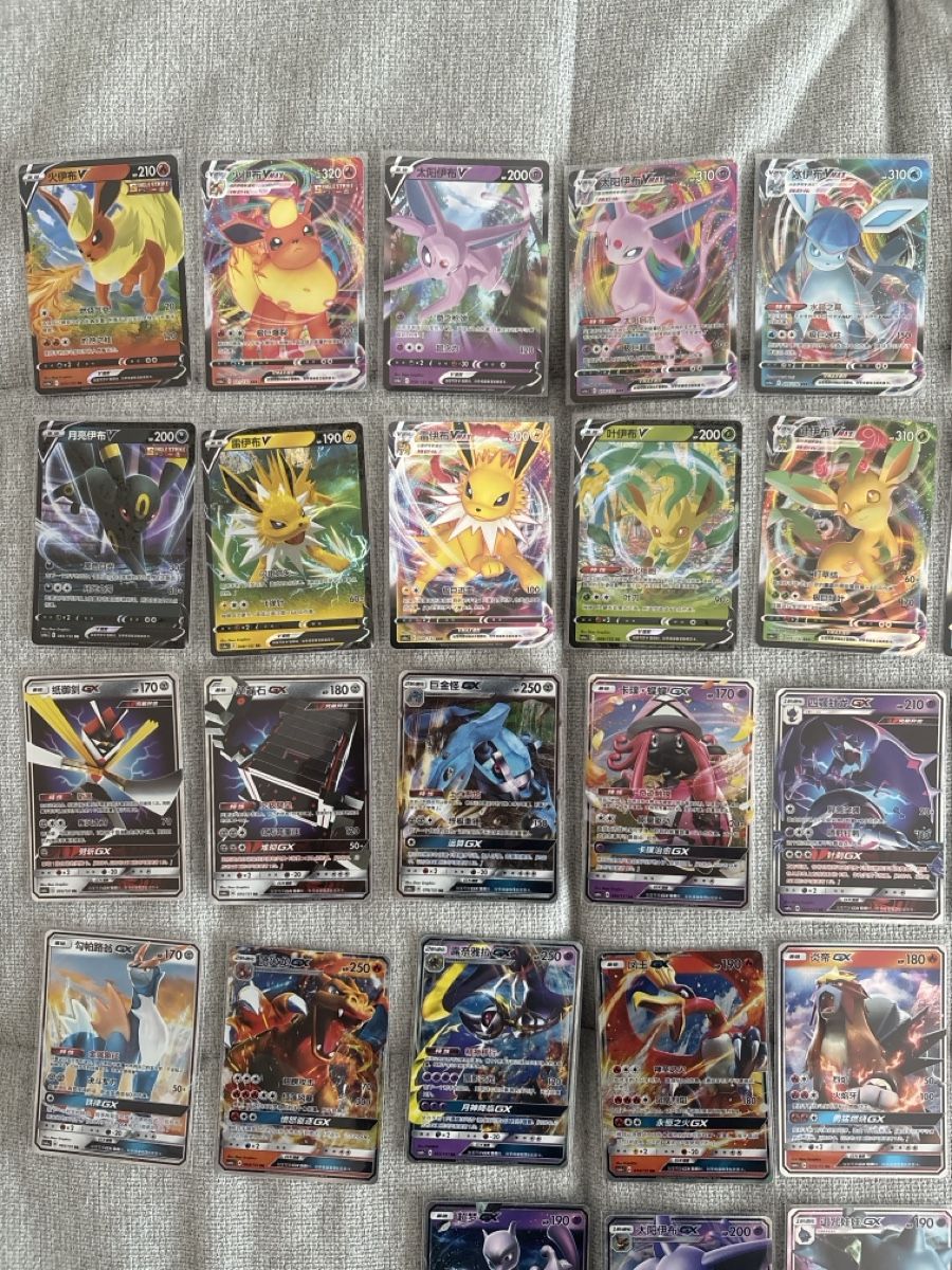 Pokémon Carte collezionabili: Pokemon Sammlung XL  – Nuovo (secondo la descrizione) da Lausen venduto da and_f9qn 1