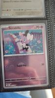 Scrutella Pokeball Reverse Holo - Flamme Blanche
