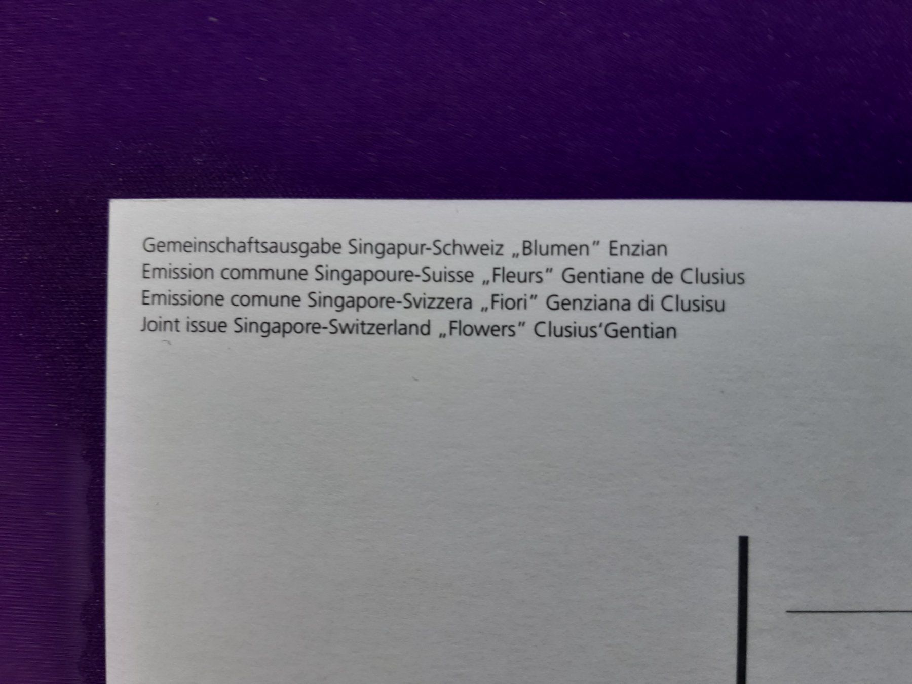Tutti i francobolli: 4 Maximumkarten, aus Sonderblock Singapur/CH, 20.9.2001 – Nuovo (secondo la descrizione) da Wangs venduto da weisstannen01 6