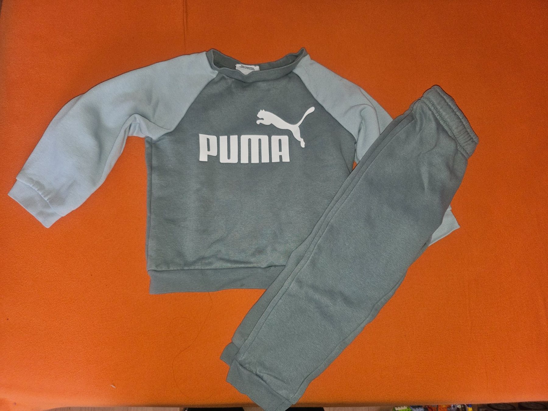 Puma Maglioni & Felpe: Puma Trainer gr 98 – Usato da Zermatt venduto da ancise