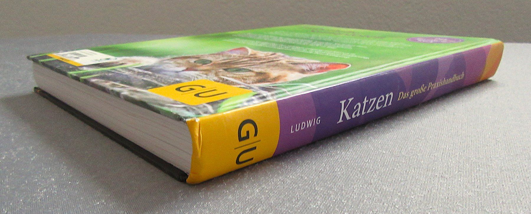 Bücher: Katzen - Das grosse Praxishandbuch - GU – Gebraucht aus Auenstein von Padabimbim 9