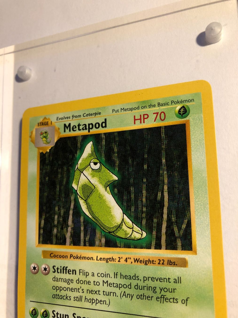 Sammelbilder & Trading cards: Metapod Base Set Shadowless - MINT - ab 1.- – Gebraucht aus Giubiasco von dan_pr8b 3