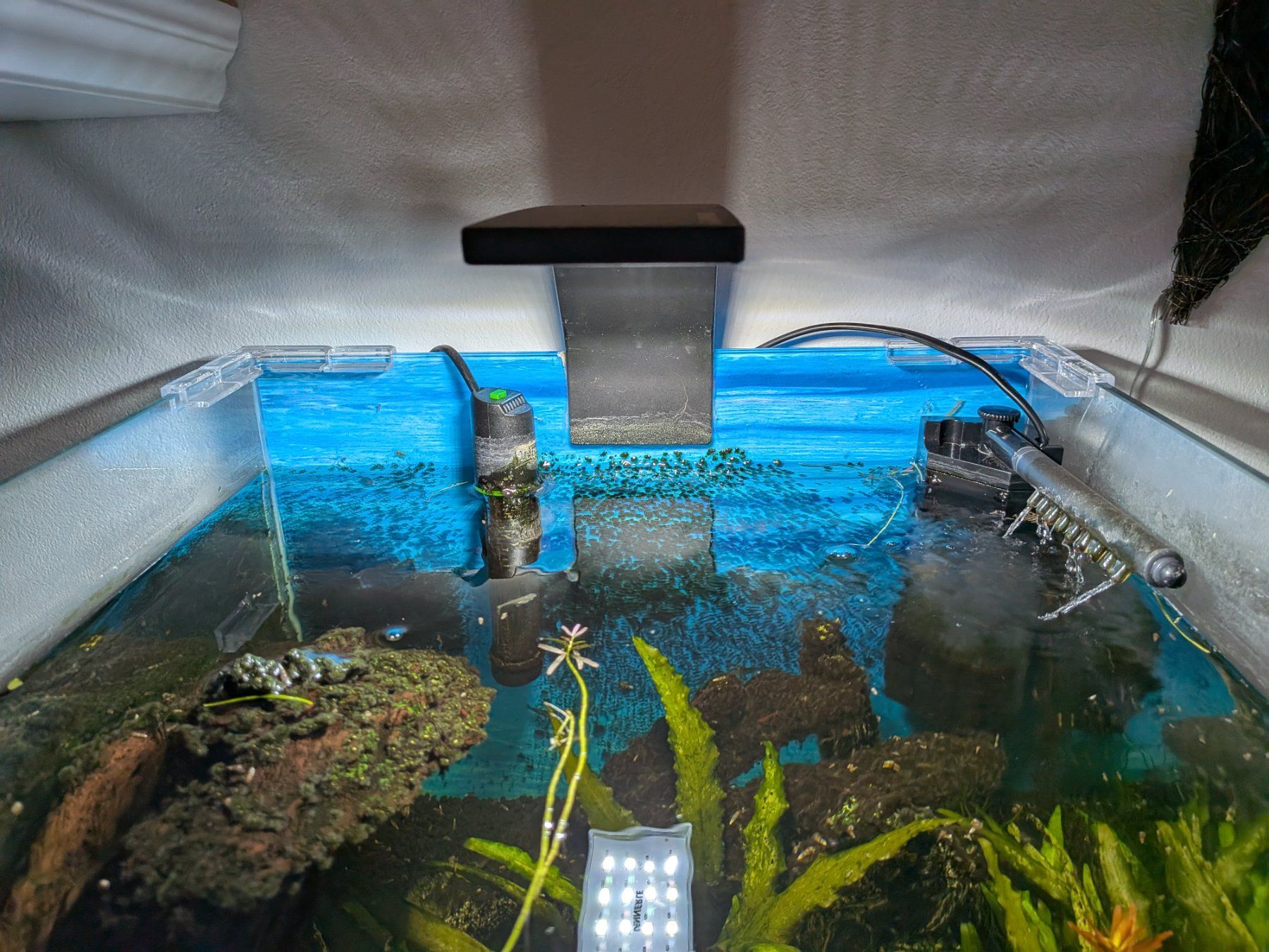 Dennerle Aquarium: Dennerle Nano Cube 60 l – D'occasion à Wolfhausen par Votec_2109 1