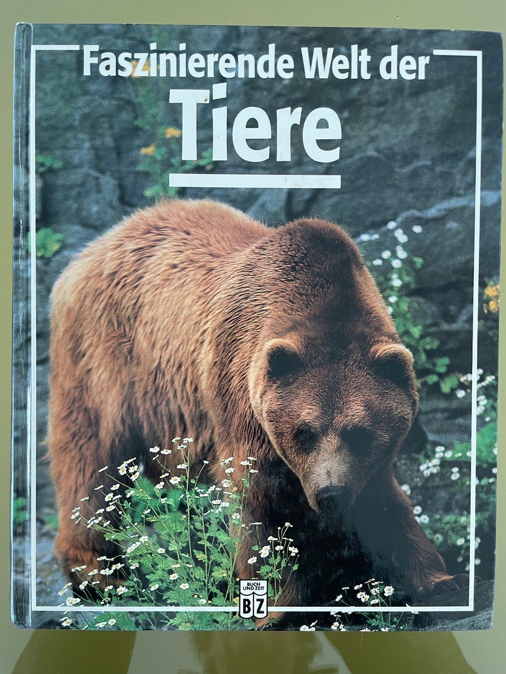 Libri: Faszinierende Welt der Tiere, 1991 – Usato da Sutz venduto da fx05