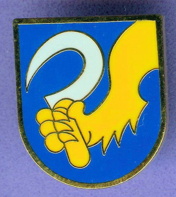 Placchette & Badge: Gemeinde Wappen   BÜREN zum Hof – Usato da Winterthur venduto da Sammleroase