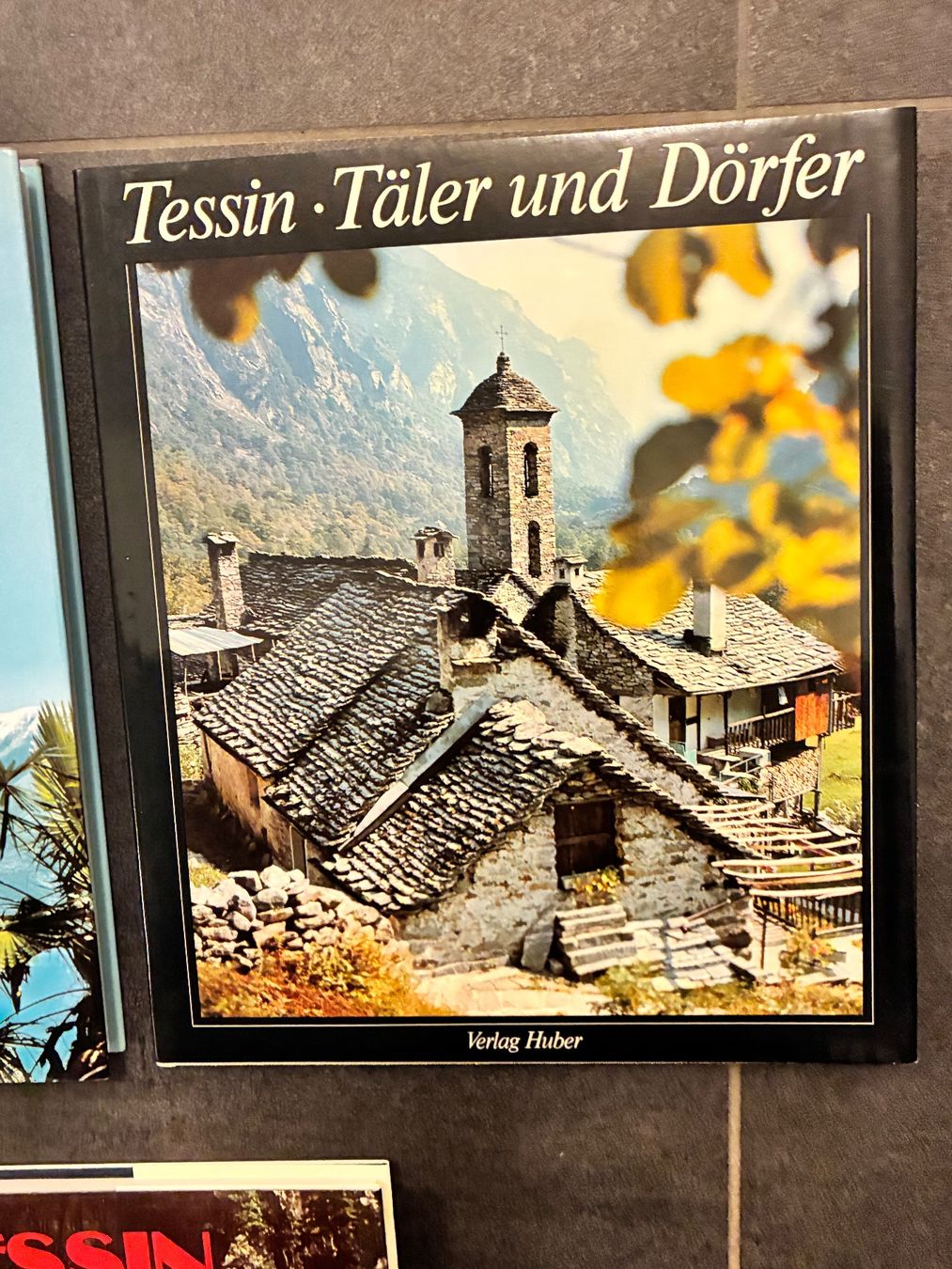 Libri: Tessin Bücher – Usato da Horw venduto da adler65 3