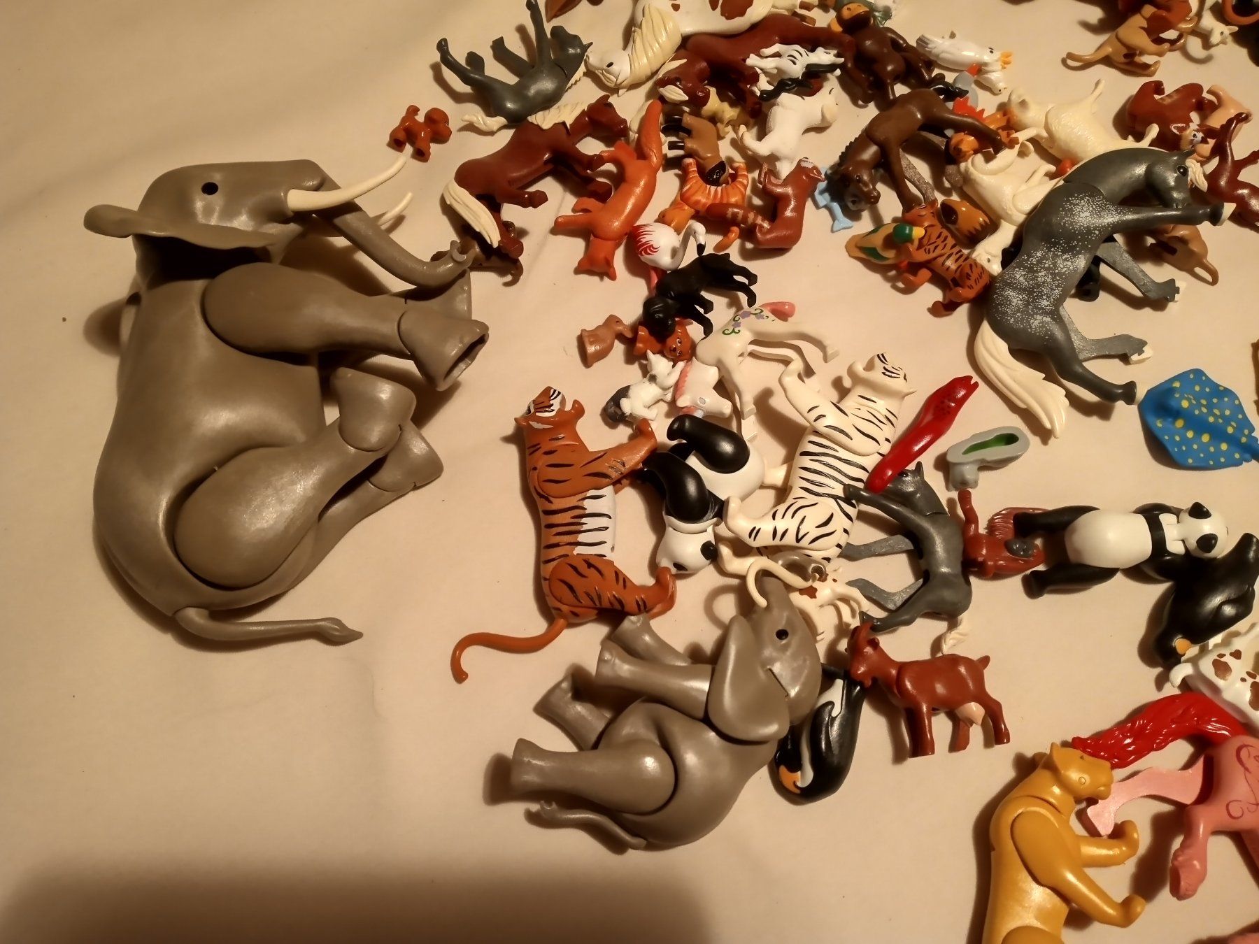 Playmobil Giocattoli: Playmobil Tiere – Usato da Prez-vers-Siviriez venduto da Monija70 1