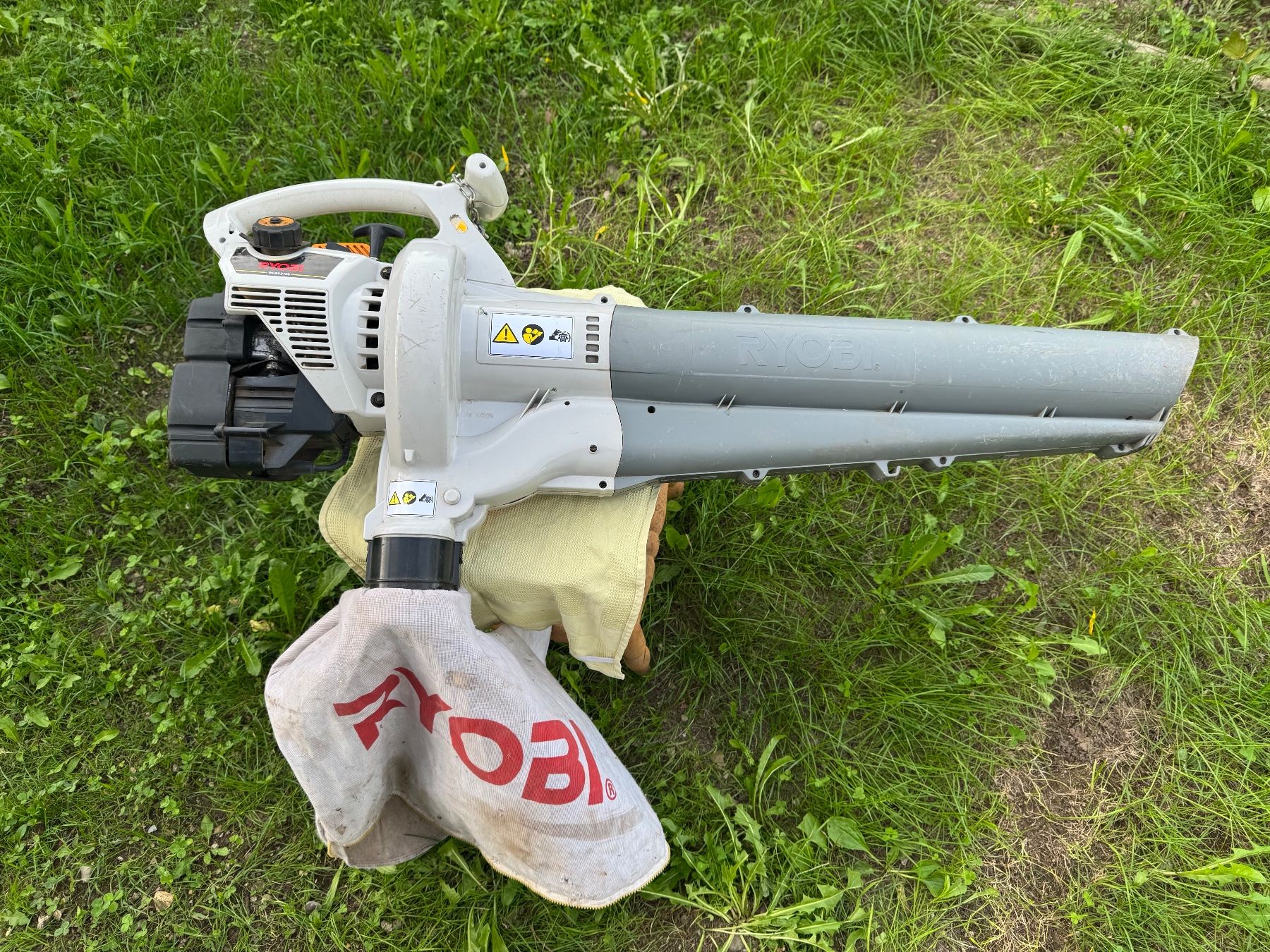 Ryobi Soffiatori & Aspiratori per foglie: Laubbläser/-sauger – Usato da Bubikon venduto da hanspeterbhp