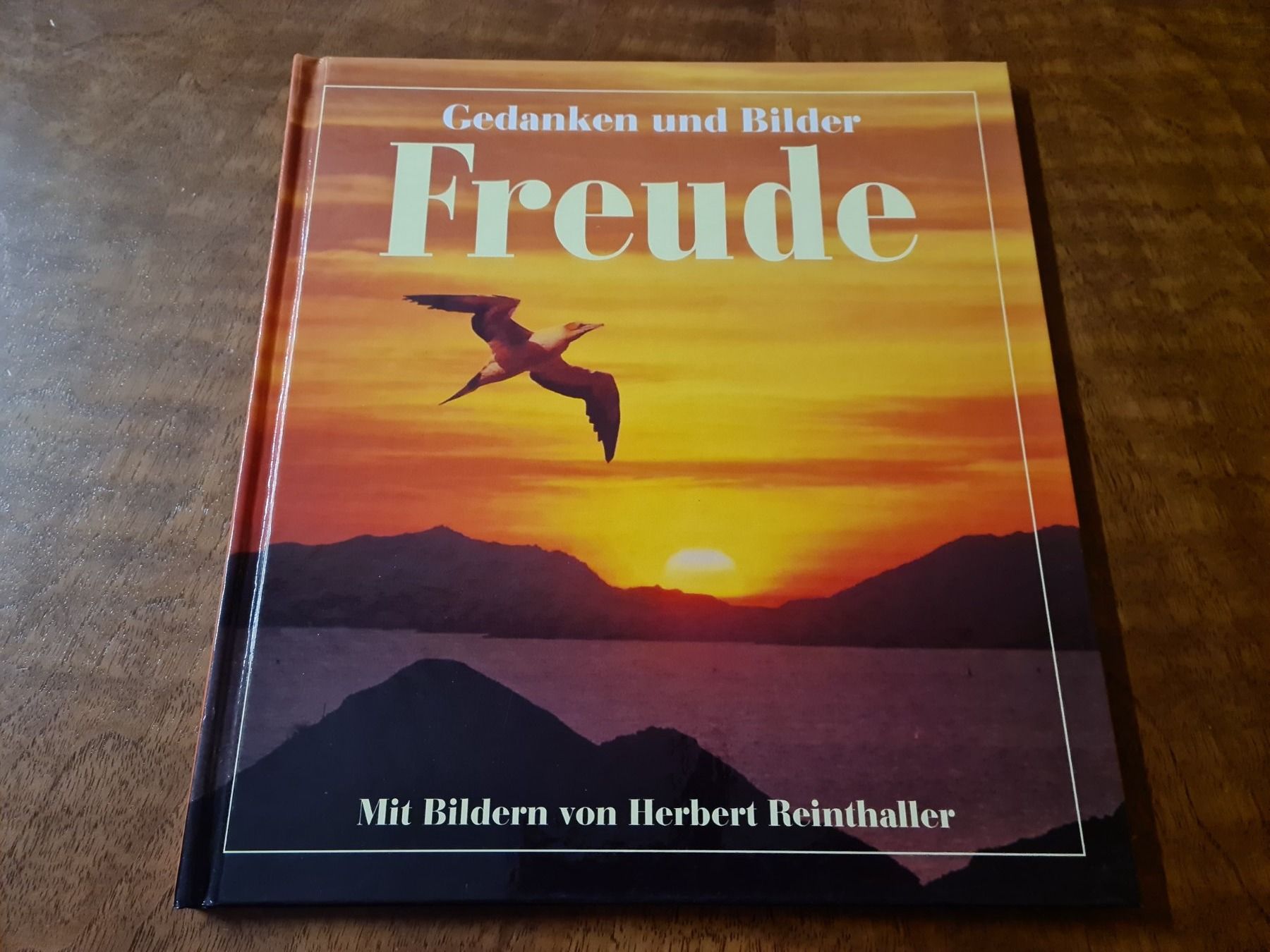 Libri: Gedanken und Bilder "FREUDE" – Usato da Erstfeld venduto da Mario_boe0