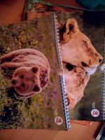 alte Tierkalender mit schönen Tierfotos