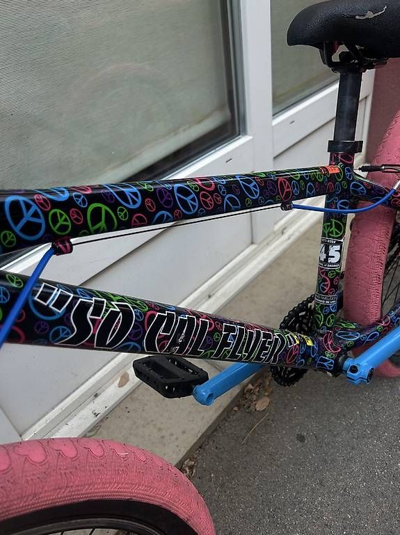 Biciclette: ES bike Peaceful – Usato da Lausanne venduto da pie_wdw7 4