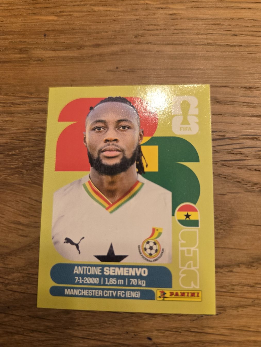 Panini Carte collezionabili: Panini Sticker 2026 GHA 20 – Nuovo (secondo la descrizione) da Luzern venduto da .Skylake.