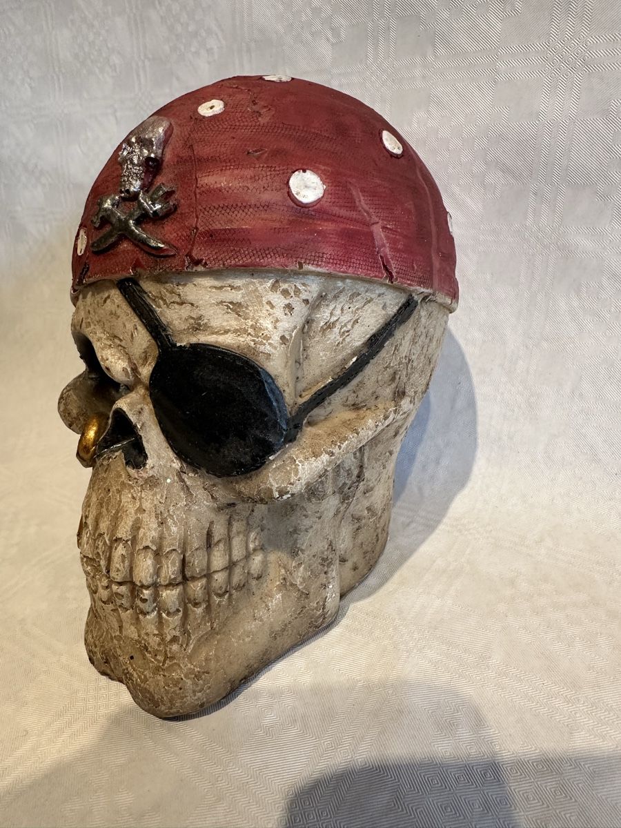 Salvadanai: Skull/Schädel Sparkasse/Spardose – Usato da Basel venduto da clearpixel 2