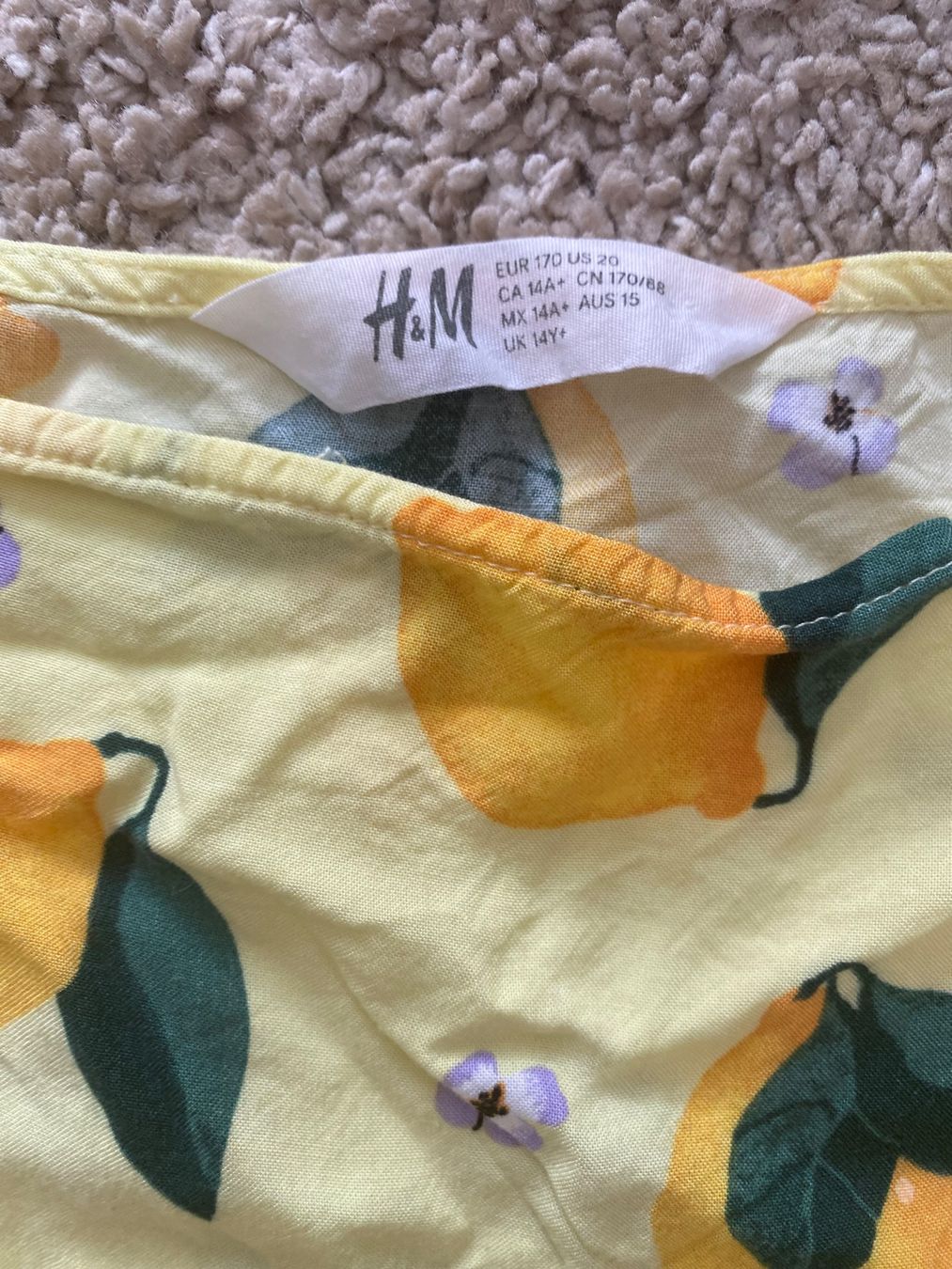 H&M Blusen, T-Shirts & Tops: Top und T-Shirt, Gr.164 – Gebraucht aus Vezia von luce2011 1