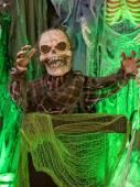 Piante e fiori finti: Halloween Groundbreaker Skelett, 45cm – Nuovo e nell'imballaggio originale da Däniken SO venduto da Profog1 4