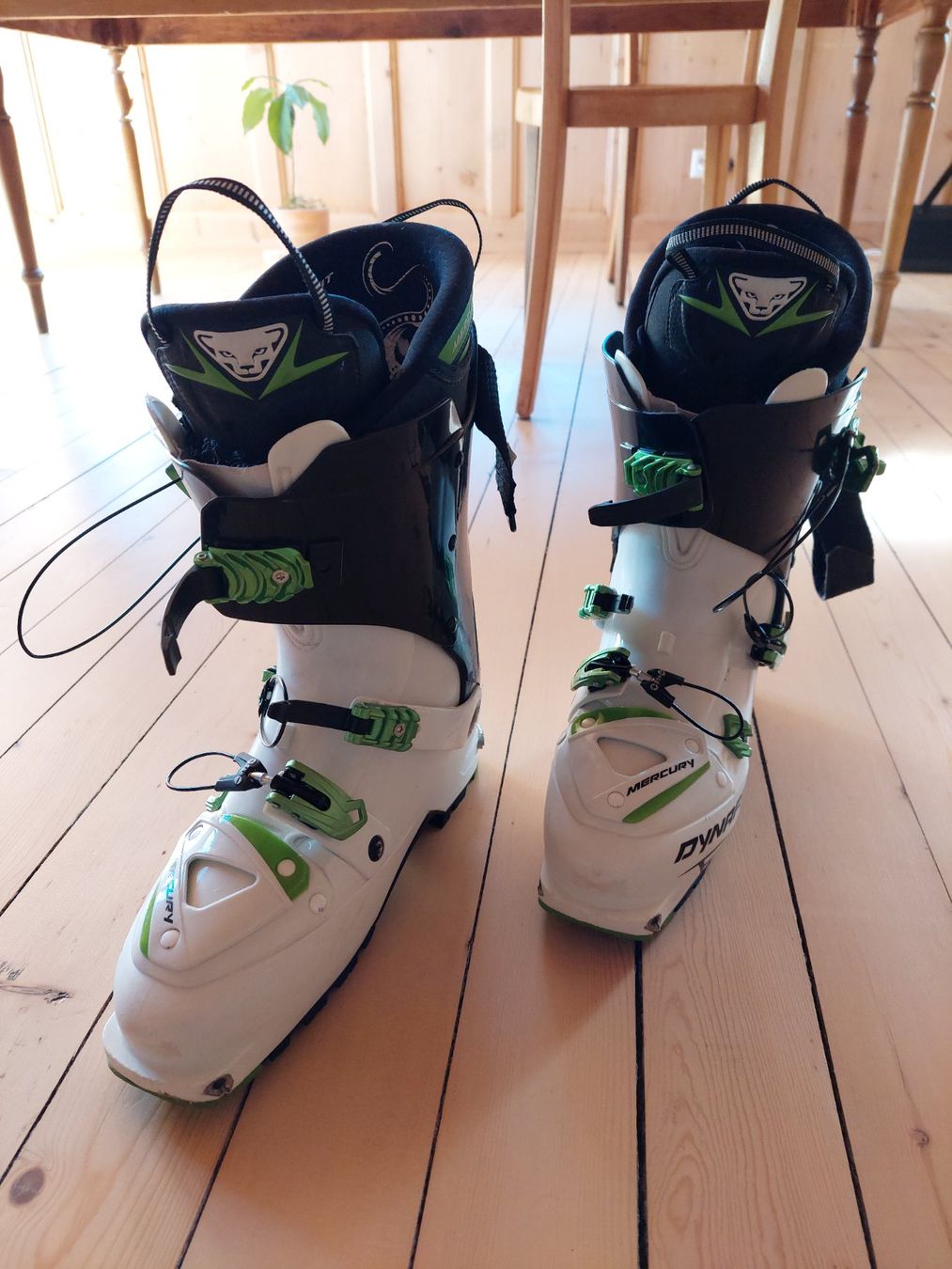 Dynafit Scarpe da uomo: Tourenskischuh Dynafit Mercury – Usato da Münster VS venduto da Krongthip 1