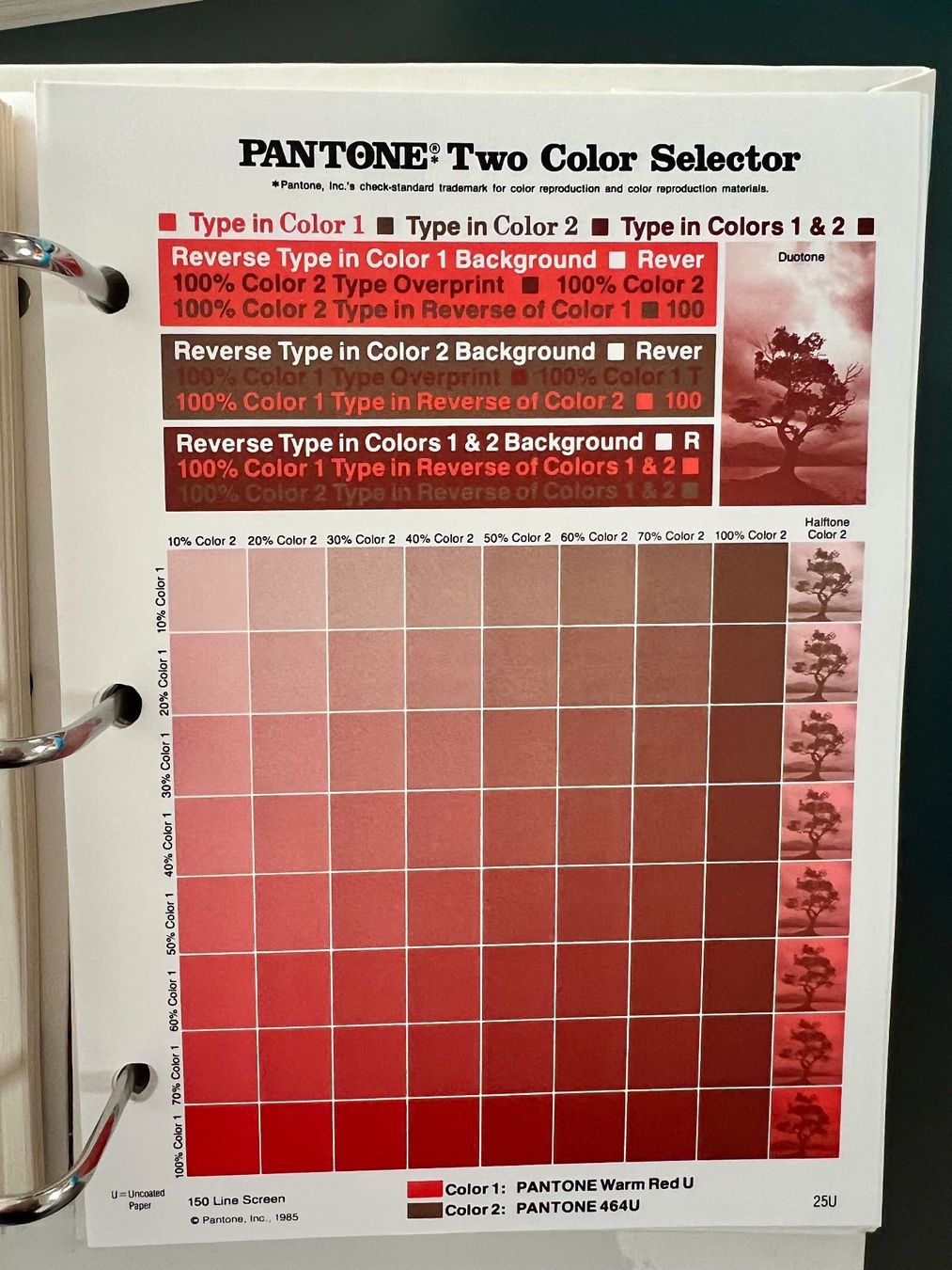 Raccoglitori: 5 Ordner /Bände Pantone Color Guide – Usato da Bolligen venduto da JaMiJe 9
