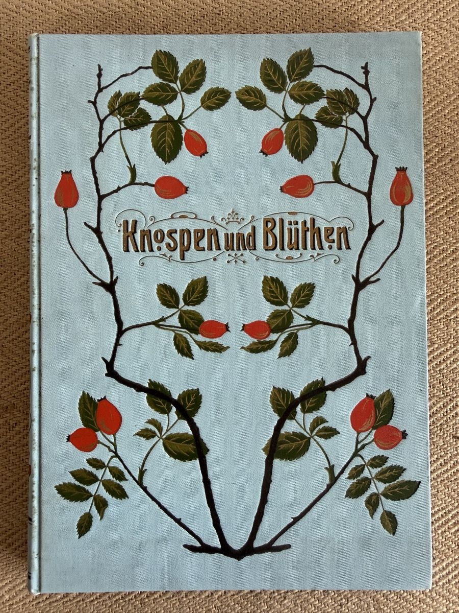 Libri: KNOSPEN & BLÜTHEN Jugendstil Lyrik Buch – Usato da Konolfingen venduto da petzipetz