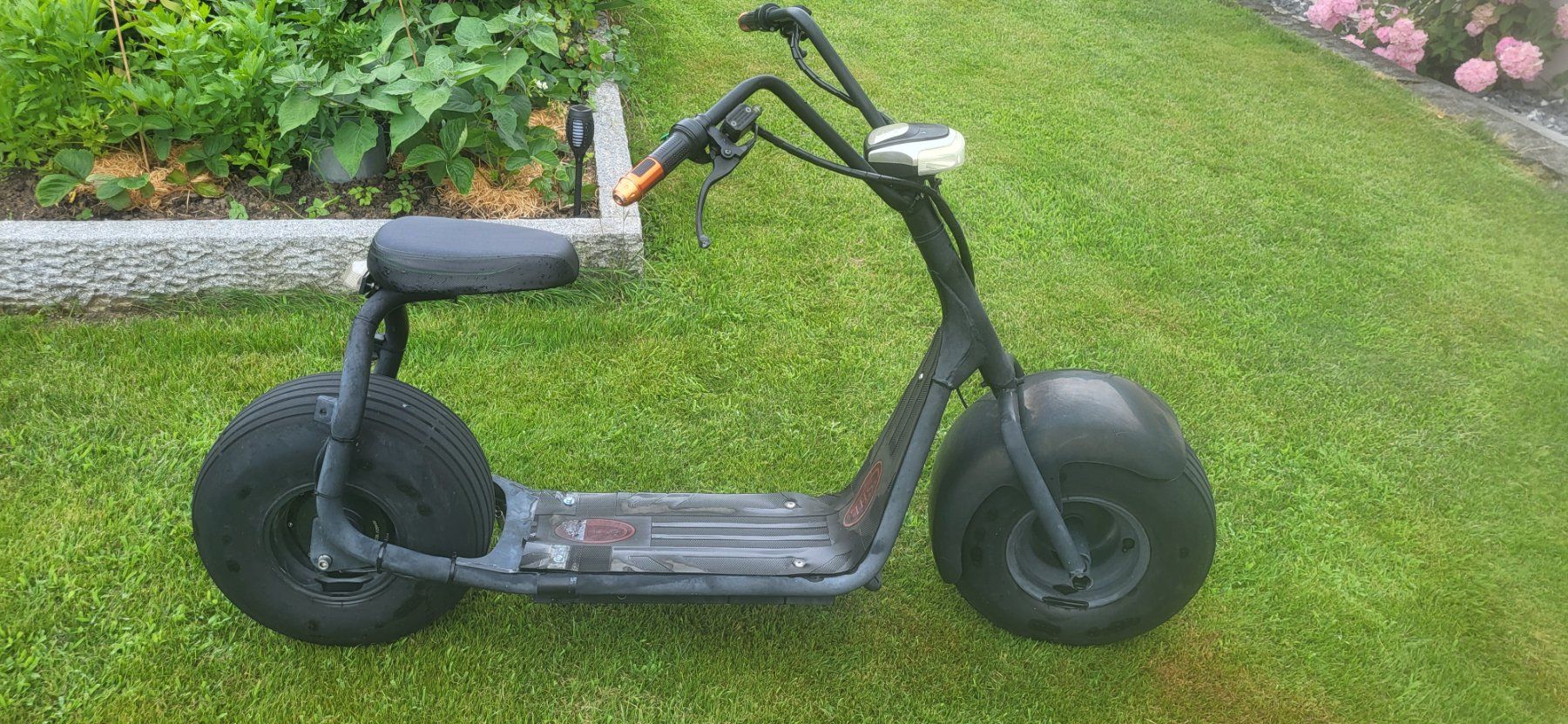 Veicoli elettrici: E Roller 20km/h – Usato da Schinznach-Bad venduto da bmw1802