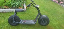 E Roller 20km/h