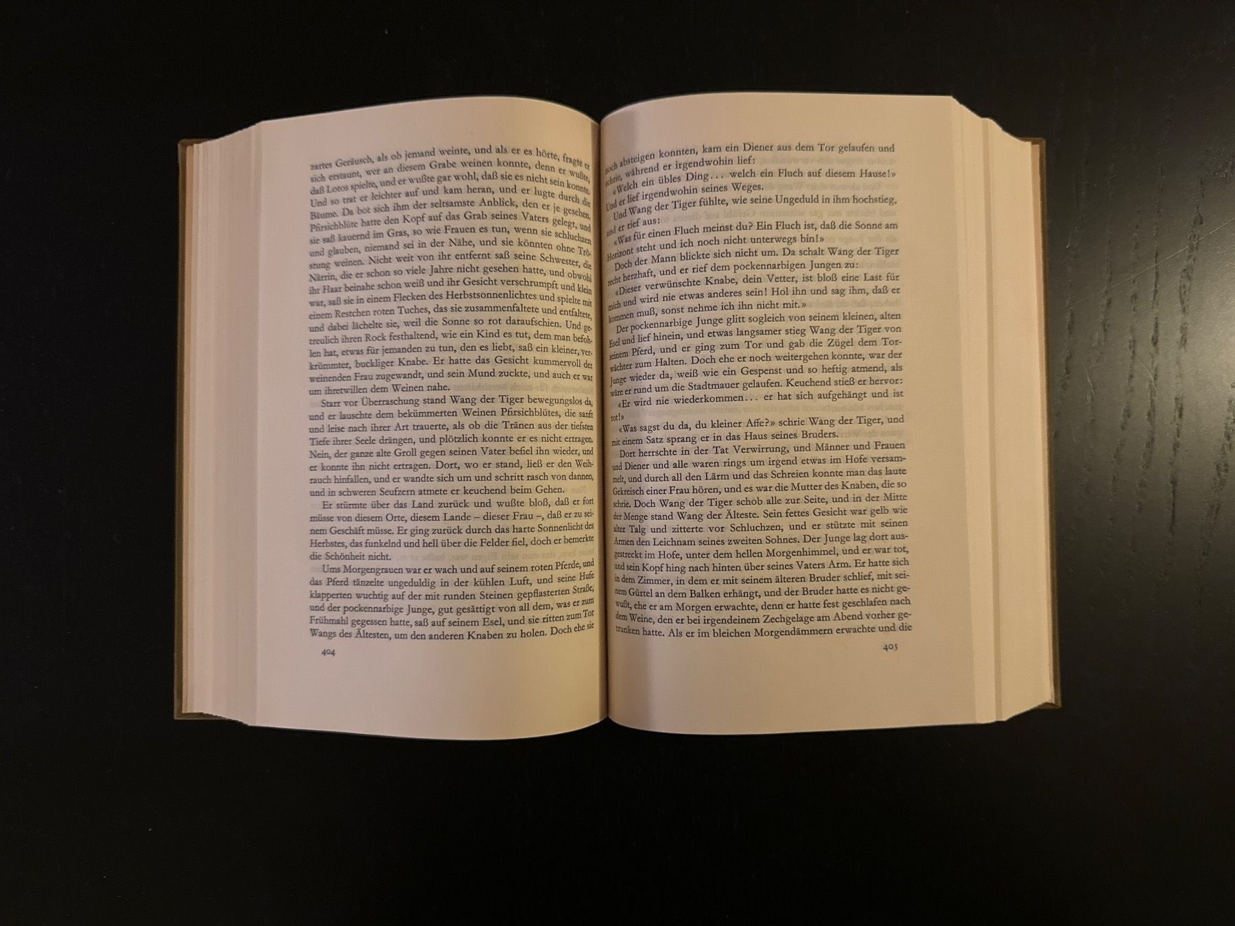 Libri: Das Haus der Erde – Usato da Erstfeld venduto da Mario_boe0 4