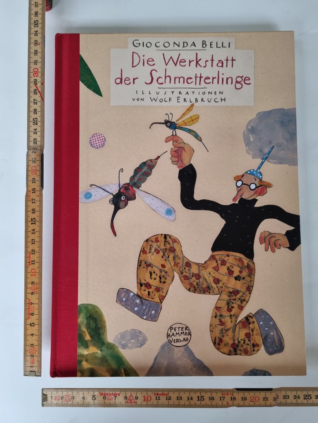 Libri: Schmetterlings-Werkstatt - Ein wunderschönes Kinderbuch – Usato da Opfikon venduto da Diversamente 1