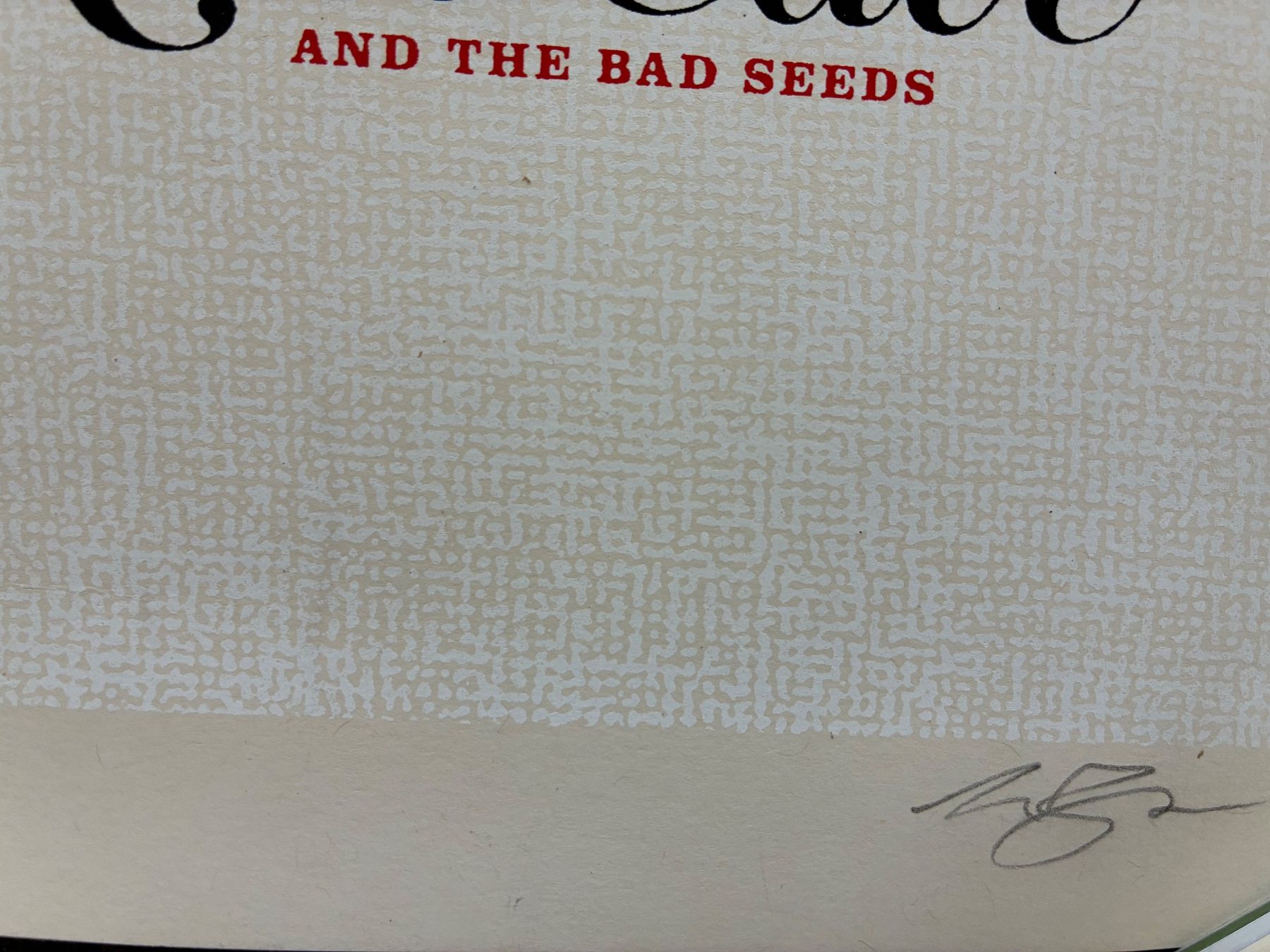 Poster & Bilder: Plakat Nick Cave and The Bad Seeds – Gebraucht aus Basel von eri_z62w 2
